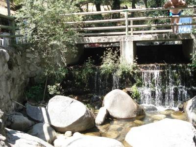 Pinares de Piedralaves; los galayos gredos mapas de rutas rutas alto tajo